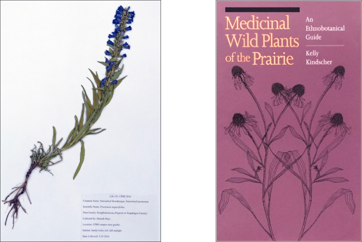 example of curated plant and textbook