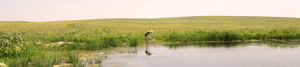A student collecting samples from a water habitat