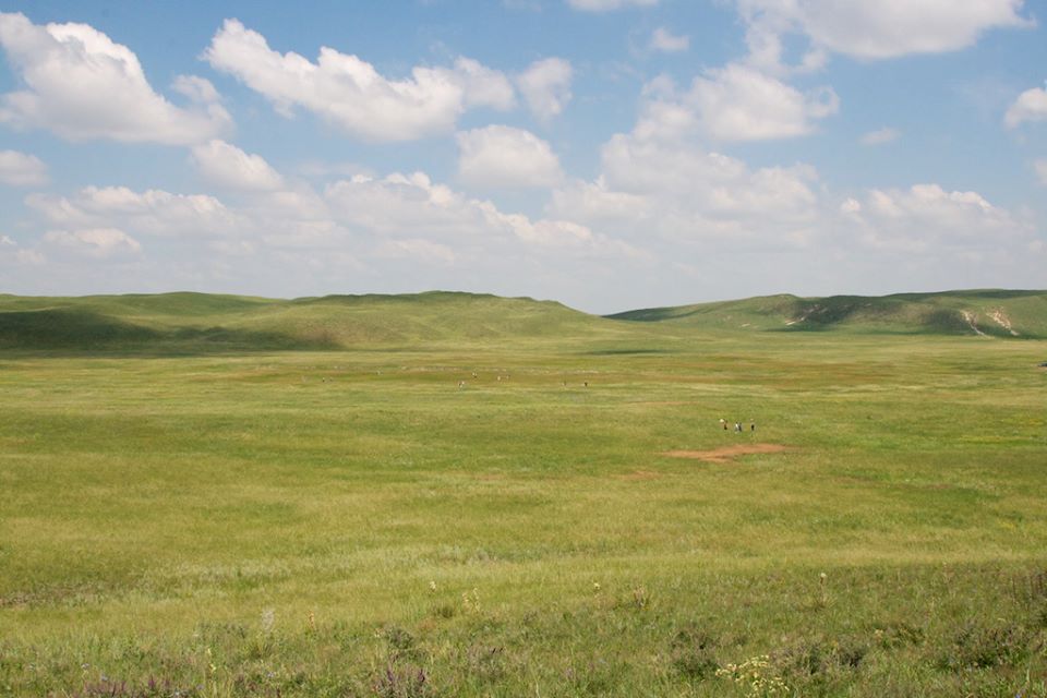 Arapaho Prairie Horizon