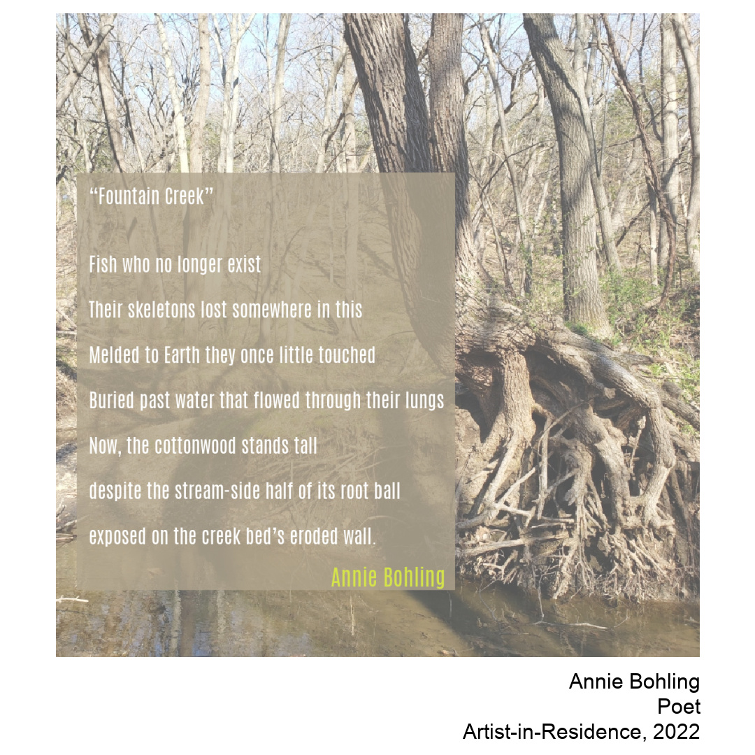 Poetry by Annie Bohling on a background of forest trees and a creek