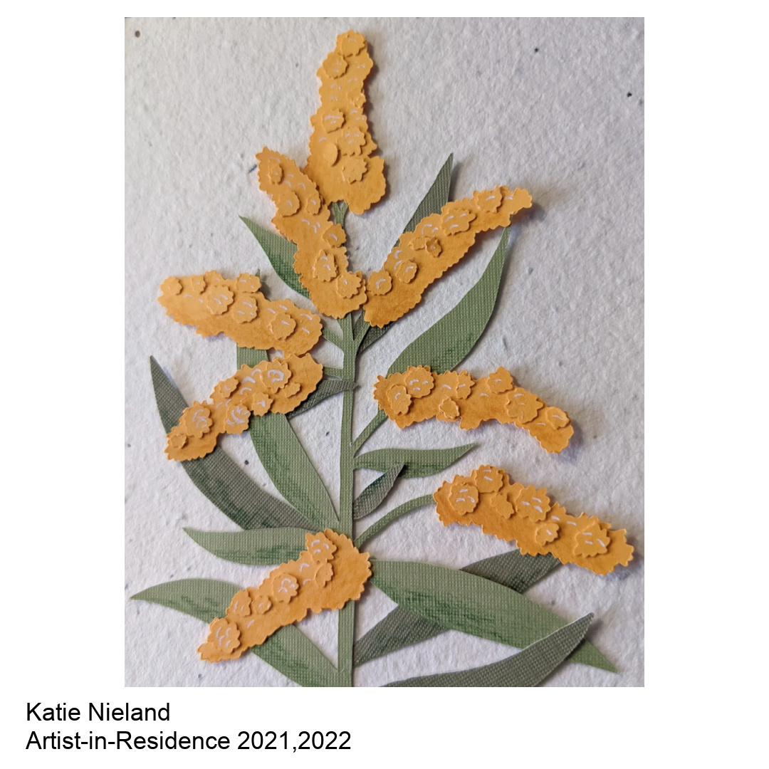 Photo of paper flower by K. Nieland