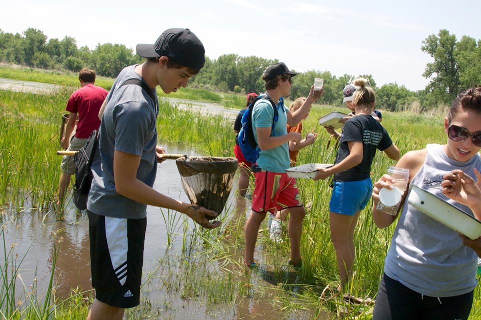 Students look for specimens that may contain parasites