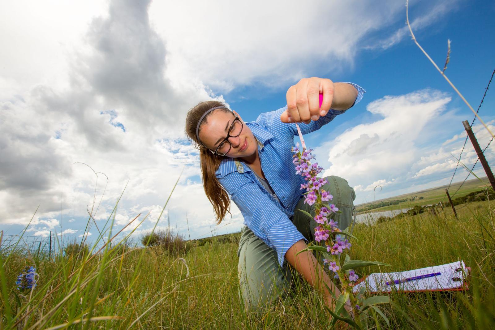 Student measuring a flower's height