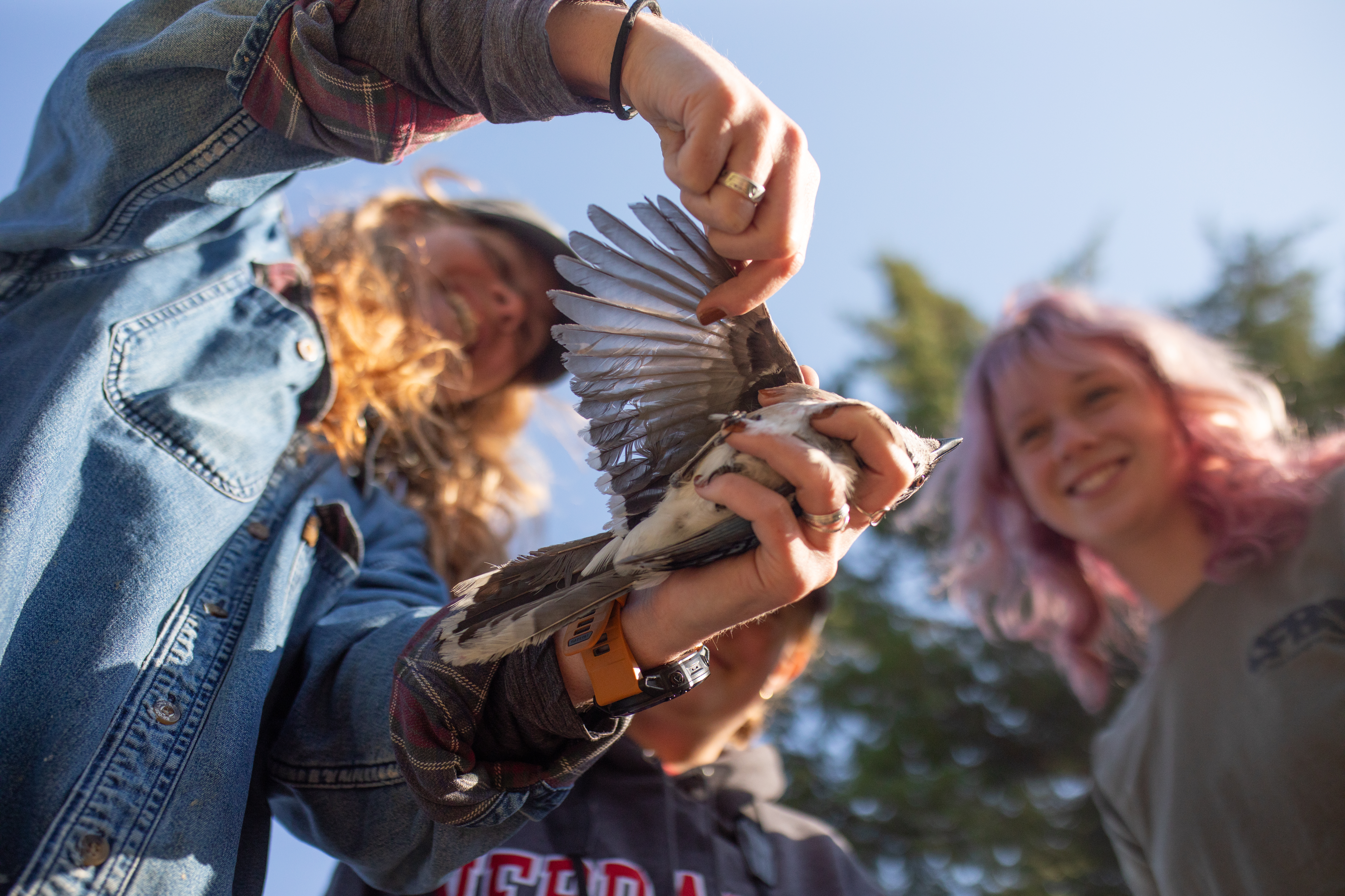 Dr Johnson showing a student how to gently study a bird wing.