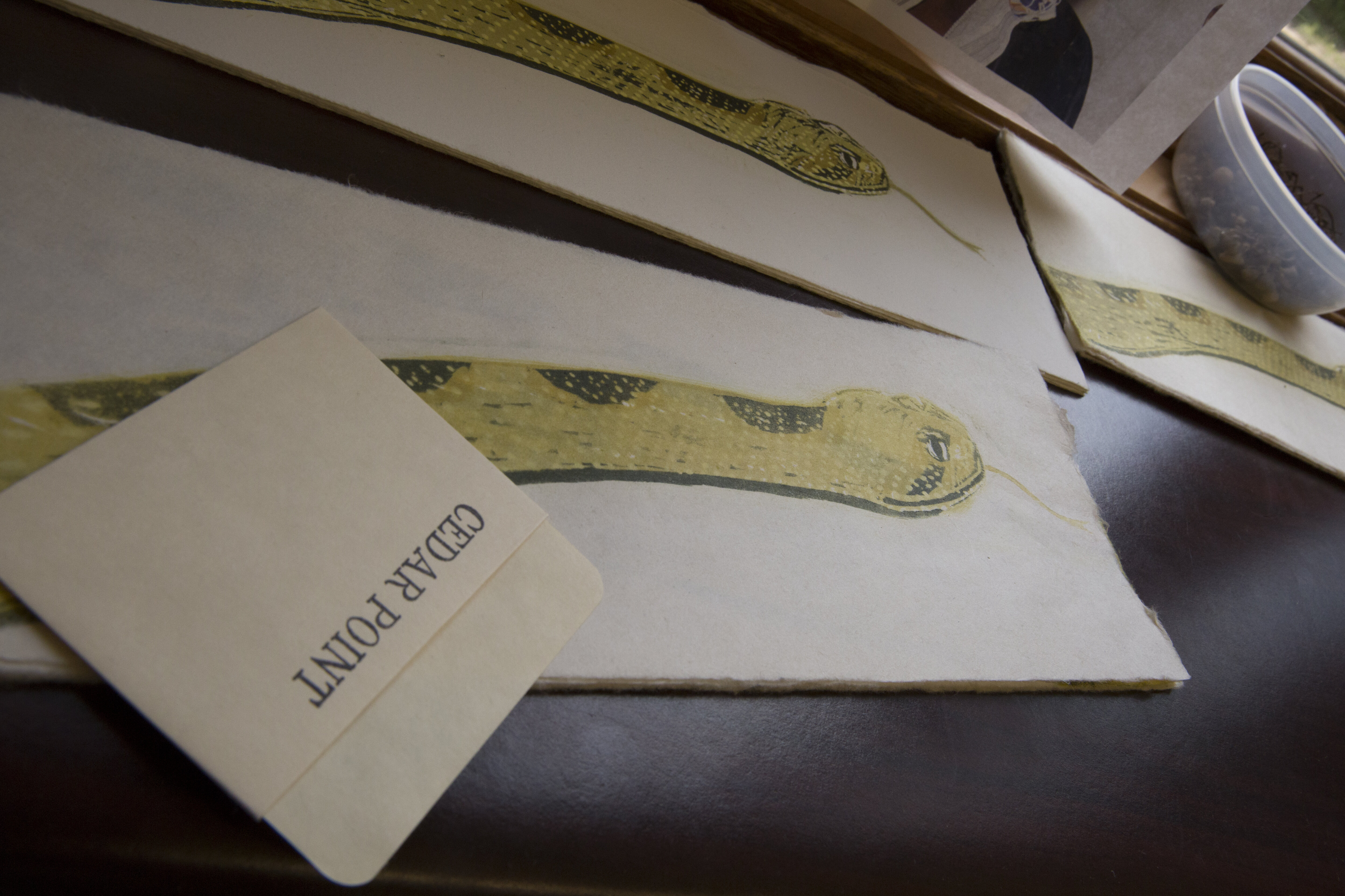 Hand-drawn images of snakes