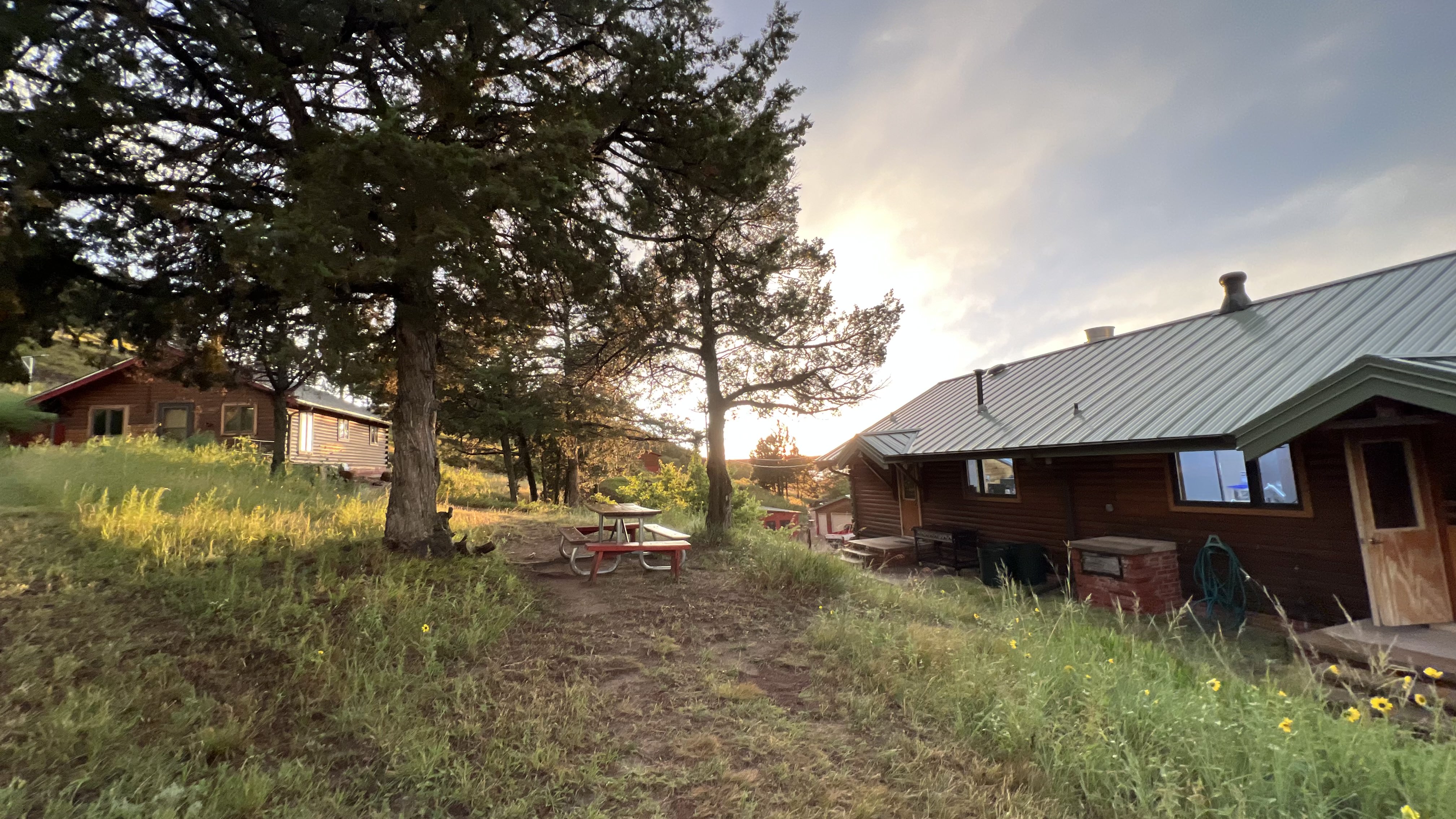 Late afternoon at Goodall