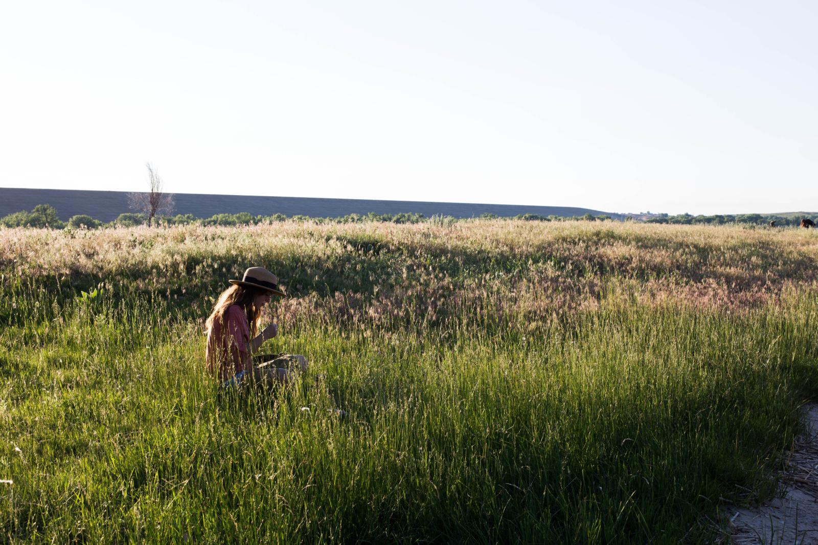 Student examining something in tall grass