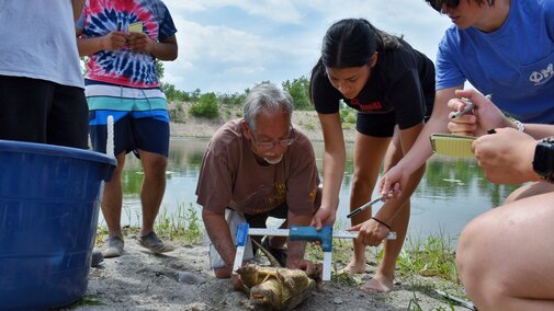 Students measure width of a turtle