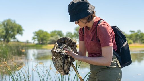 Student examining a dip net for specimen