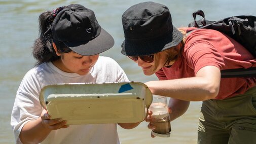 Students examining samples in a pan out in the field