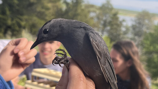 Student holding black bird