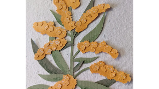 Photo of paper flower by K. Nieland