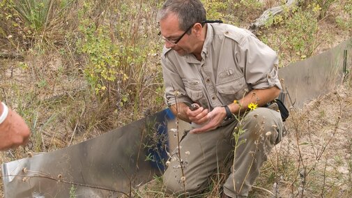 Photo of field herpetology