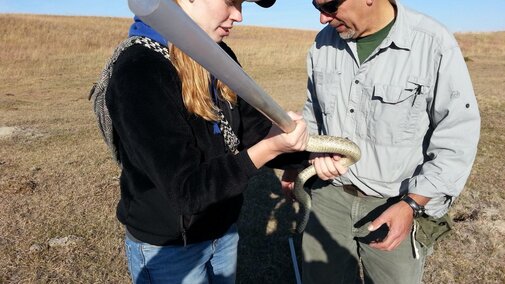 Photo of field herpetology