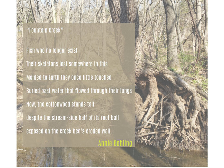 Poetry by Annie Bohling on a background of forest trees and a creek