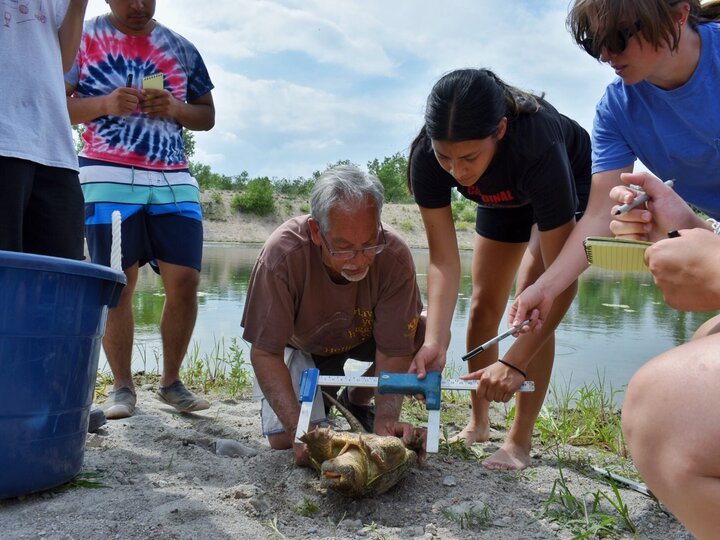 Students measure width of a turtle