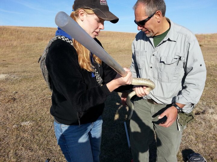 Photo of field herpetology